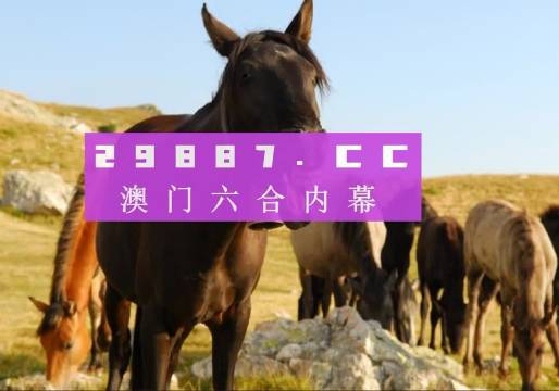 2025年5月 第5页